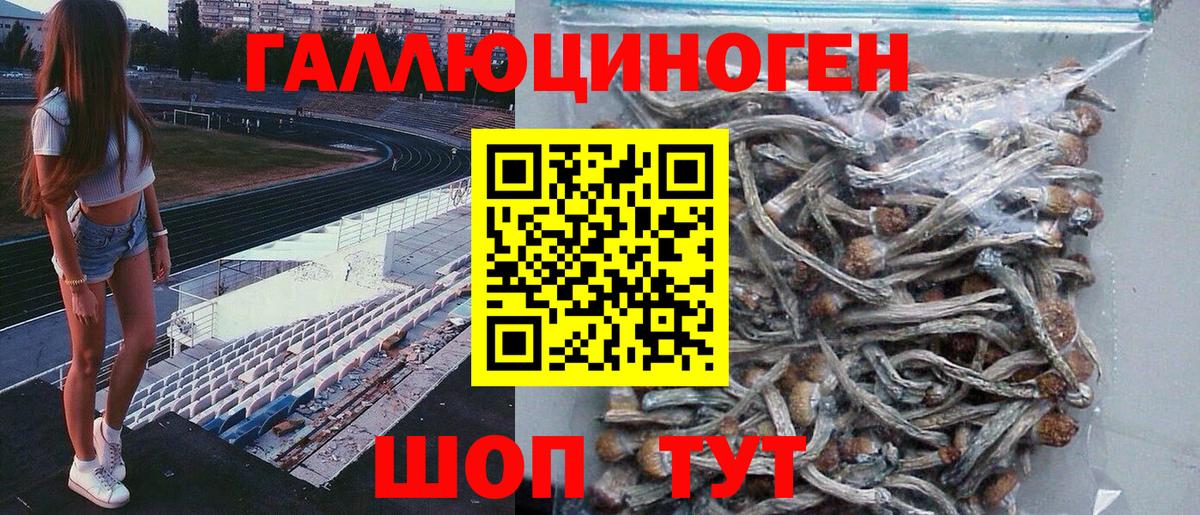 Галлюциногенные грибы GOLDEN TEACHER  Псилоцибиновые грибы MAGIC MUSHROOMS  Вход с VPN  Армавир 