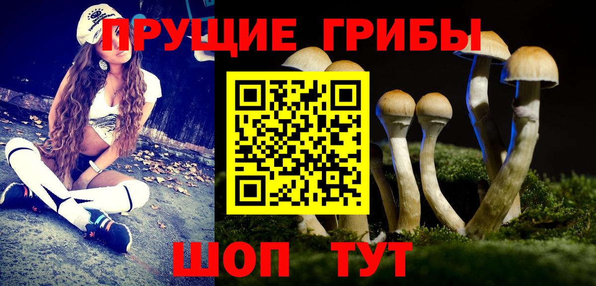 Псилоцибиновые грибы MAGIC MUSHROOMS Армавир